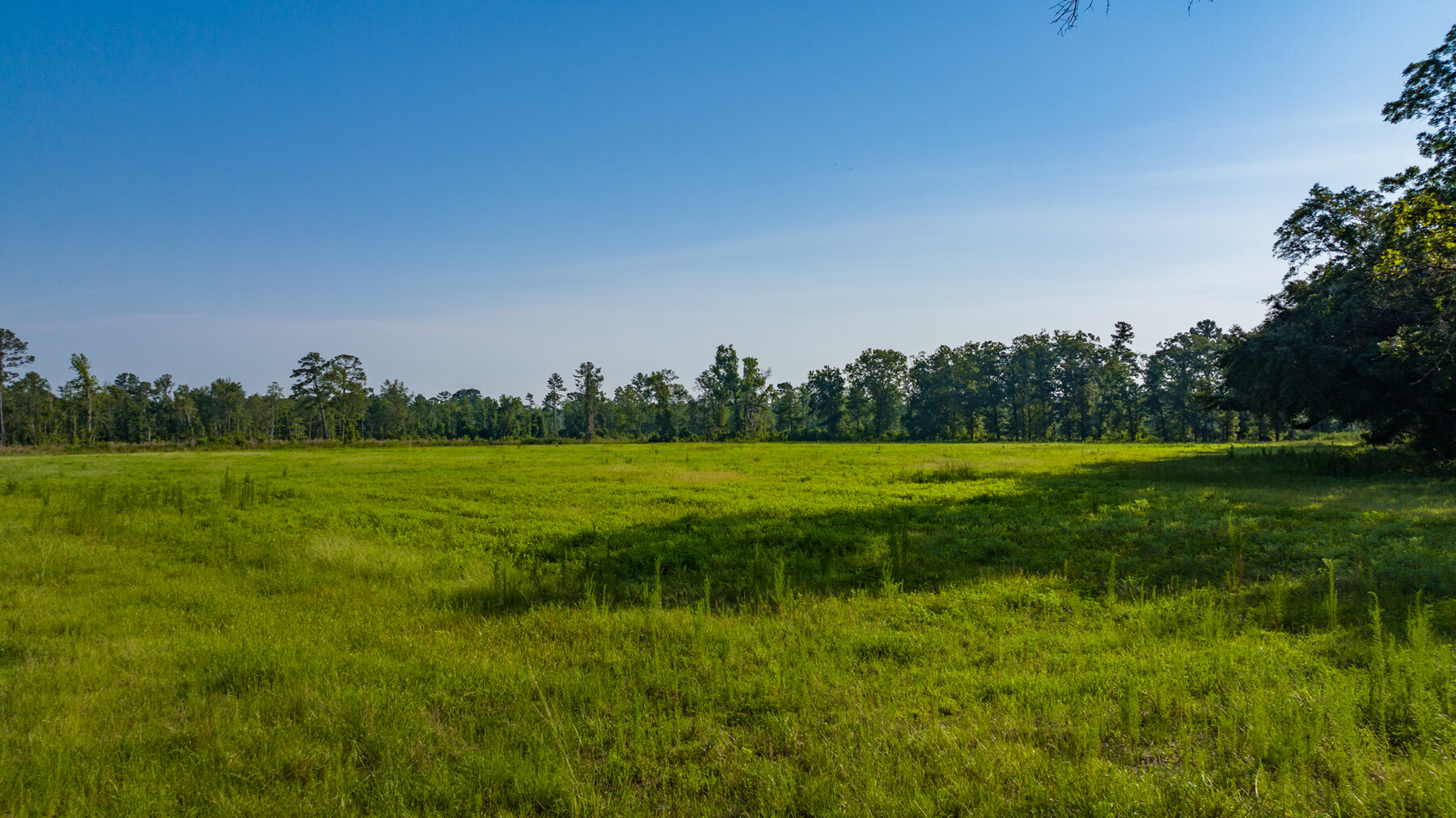 Image for 1,014+/- Acres of Prime Development Potential -Valdosta, Georgia