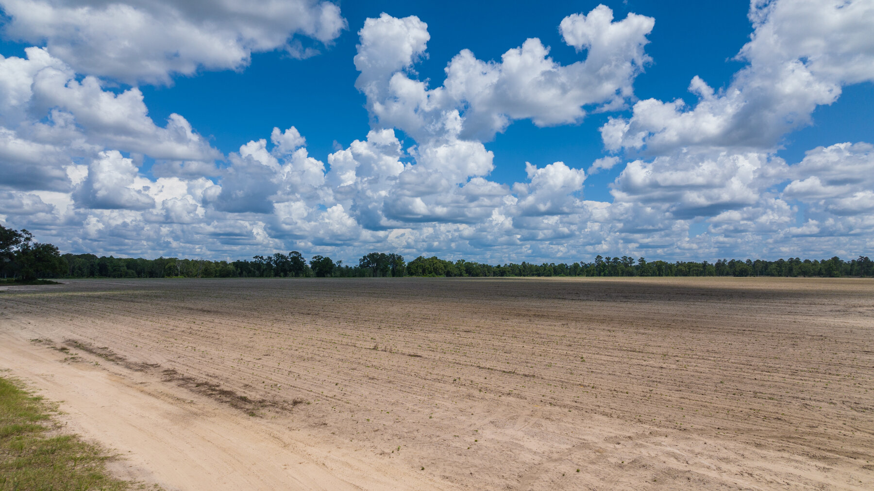Image for 1,014+/- Acres of Prime Development Potential -Valdosta, Georgia