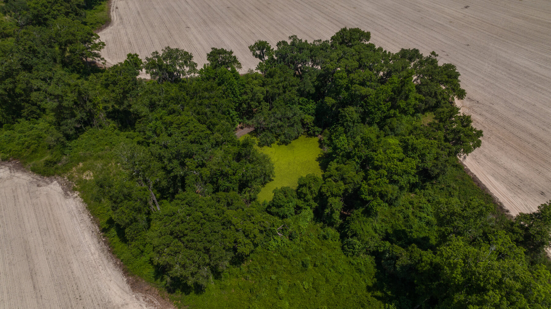 Image for 1,014+/- Acres of Prime Development Potential -Valdosta, Georgia
