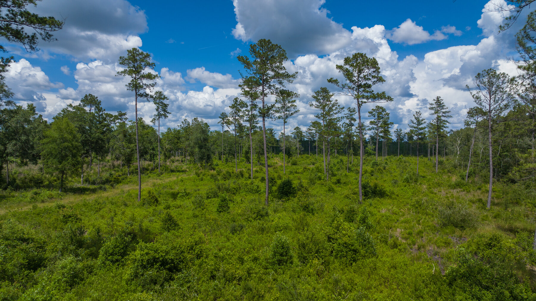 Image for 1,014+/- Acres of Prime Development Potential -Valdosta, Georgia