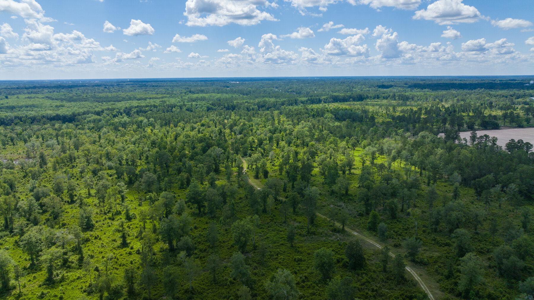 Image for 1,014+/- Acres of Prime Development Potential -Valdosta, Georgia