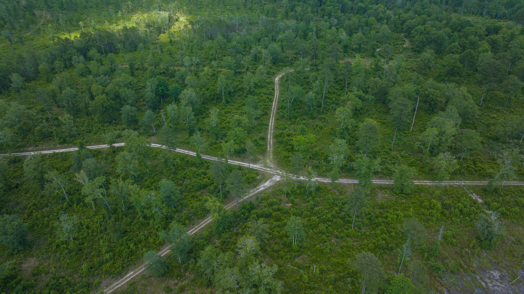 Image for 1,014+/- Acres of Prime Development Potential -Valdosta, Georgia