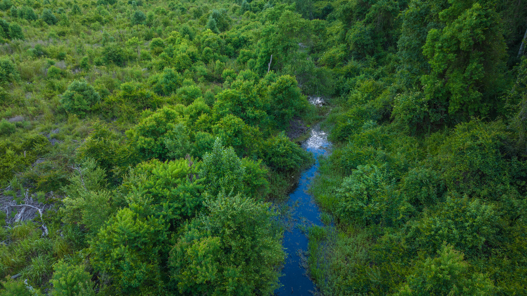 Image for 1,014+/- Acres of Prime Development Potential -Valdosta, Georgia