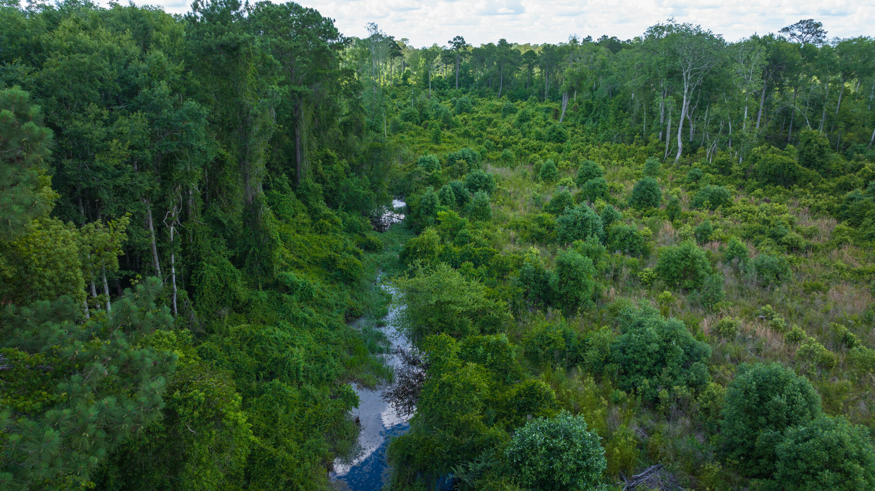 Image for 1,014+/- Acres of Prime Development Potential -Valdosta, Georgia