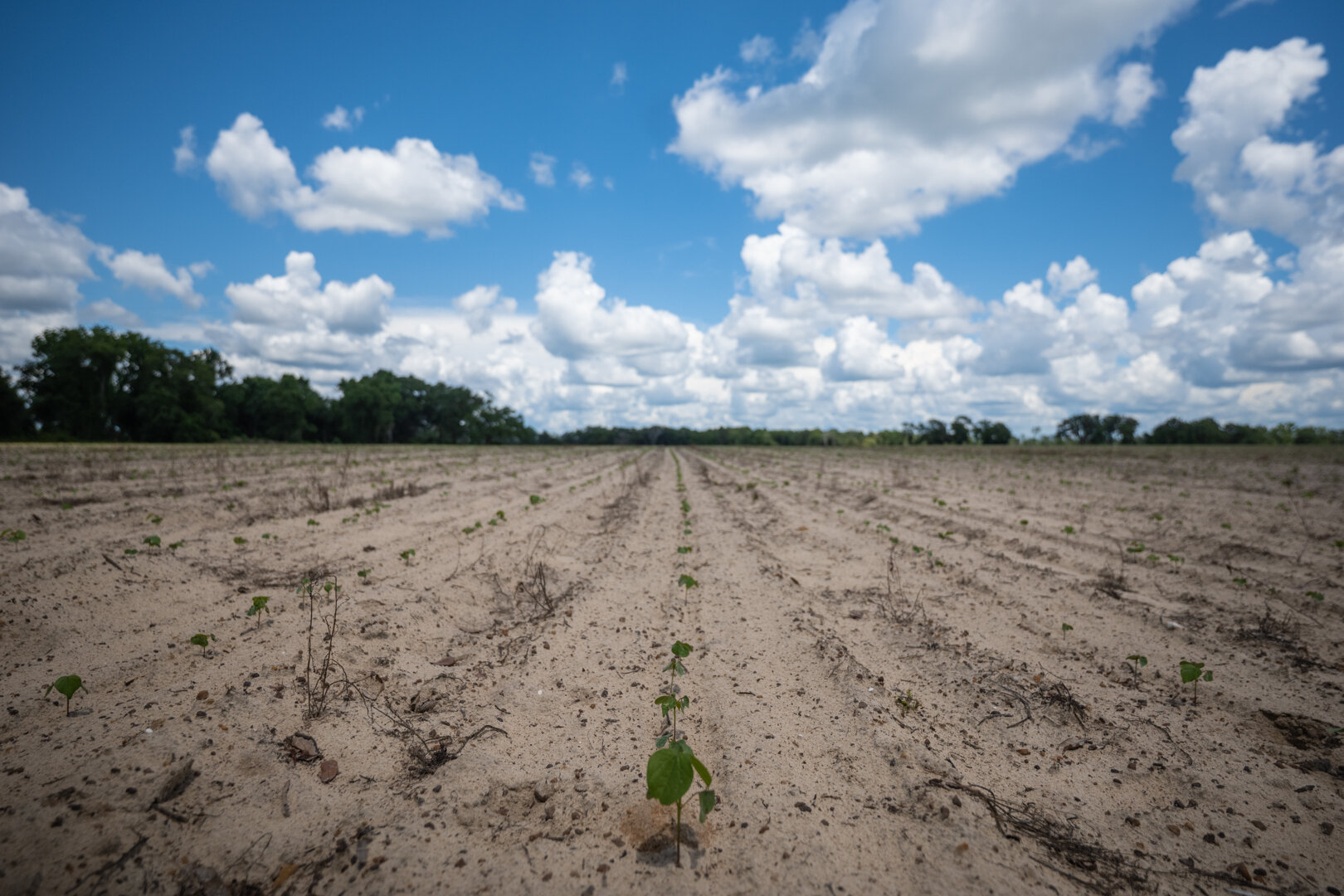 Image for 1,014+/- Acres of Prime Development Potential -Valdosta, Georgia