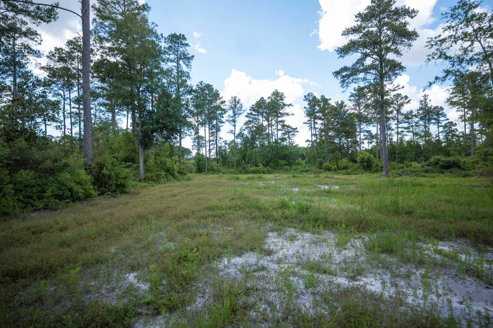 Image for 1,014+/- Acres of Prime Development Potential -Valdosta, Georgia