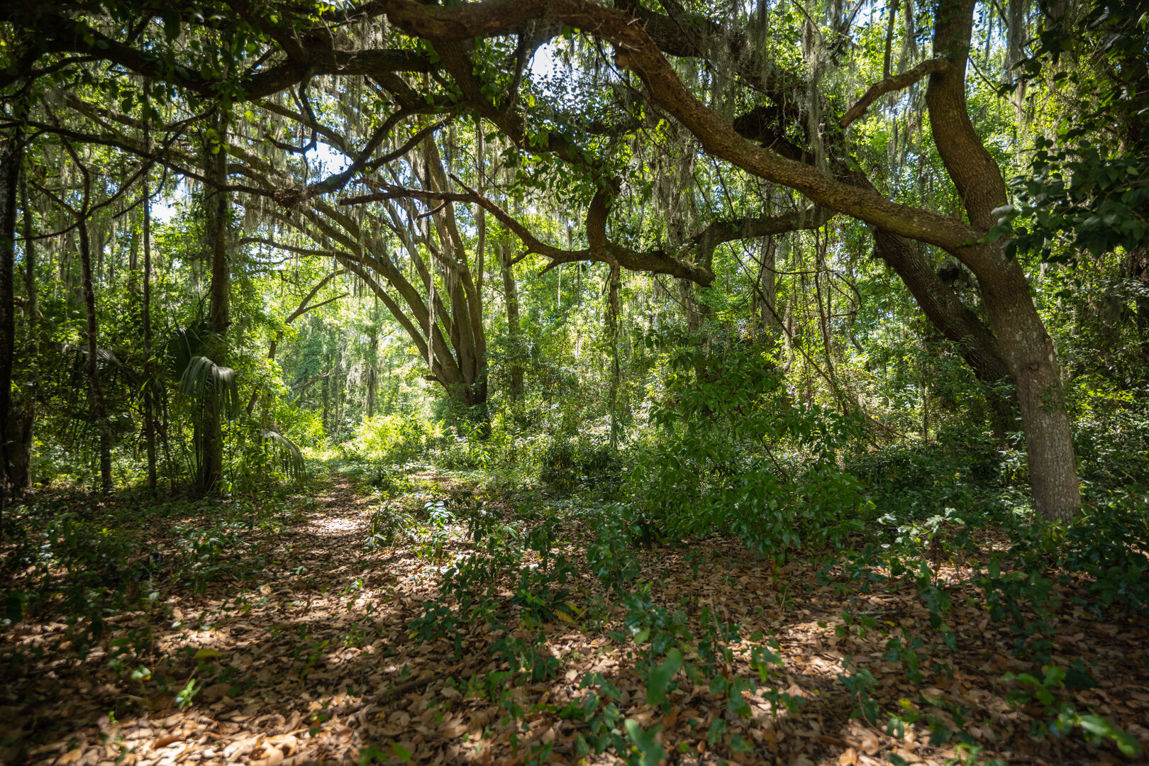 Image for 1,014+/- Acres of Prime Development Potential -Valdosta, Georgia