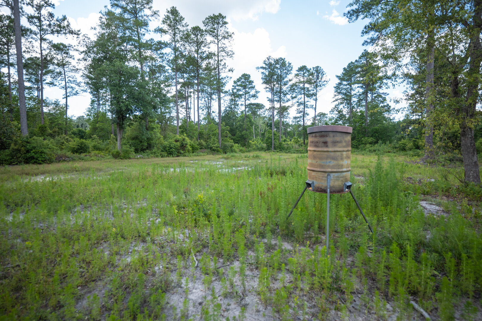 Image for 1,014+/- Acres of Prime Development Potential -Valdosta, Georgia