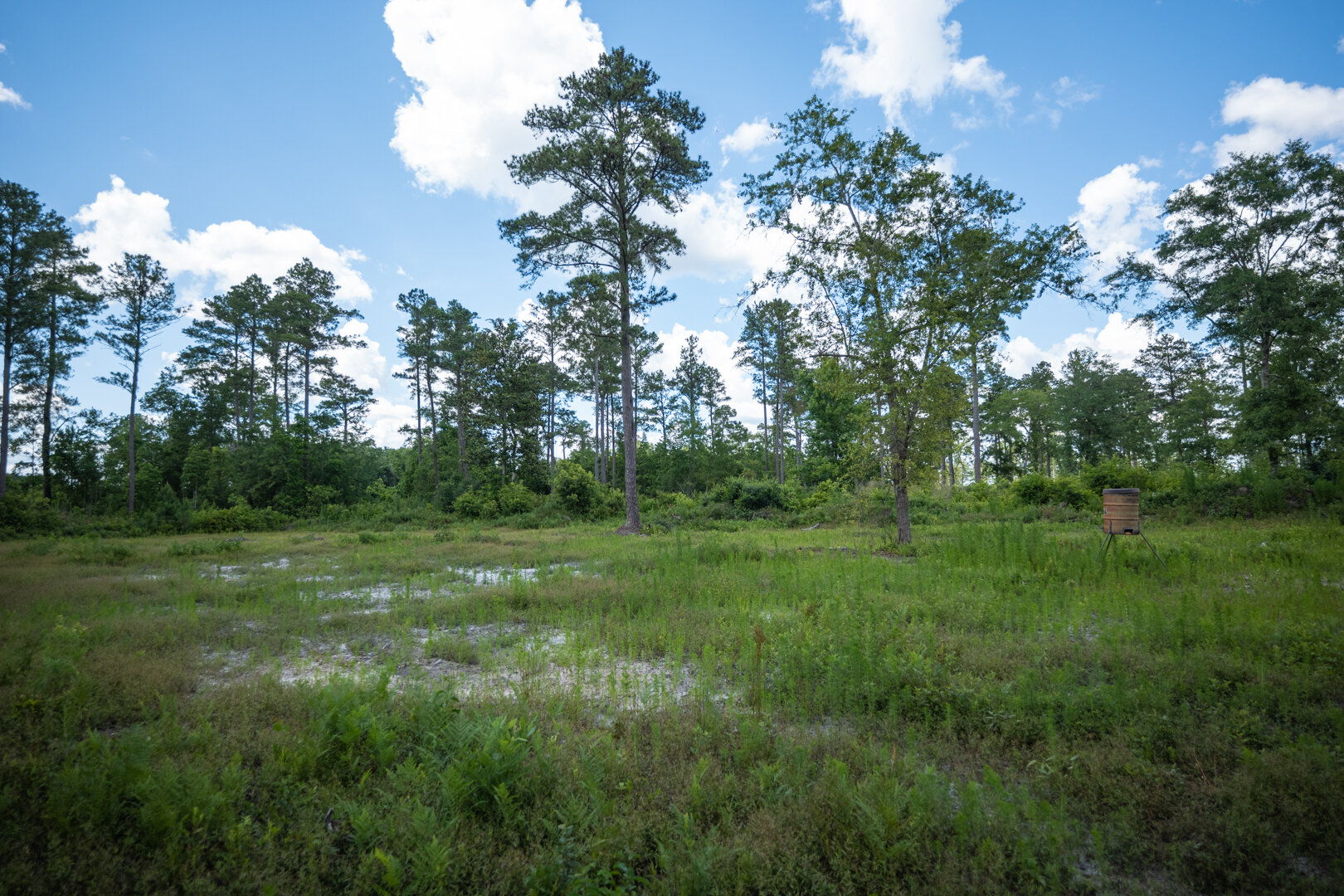 Image for 1,014+/- Acres of Prime Development Potential -Valdosta, Georgia