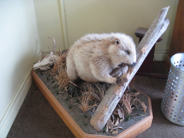 Image for Washington - Nice Selection of Hand Tools, Shop Items, Office Furniture, Taxidermy, & more