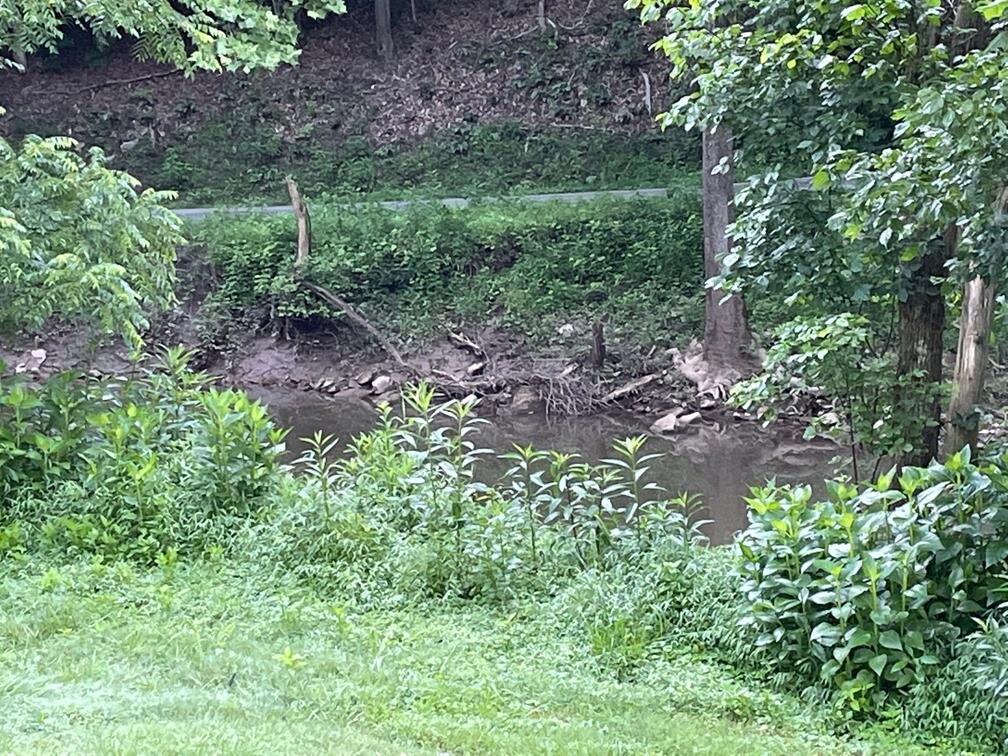 Image for SOLD $176,000 - 25 Acre Mini-Farm or Hunting Camp