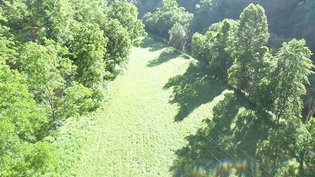 Image for SOLD $176,000 - 25 Acre Mini-Farm or Hunting Camp