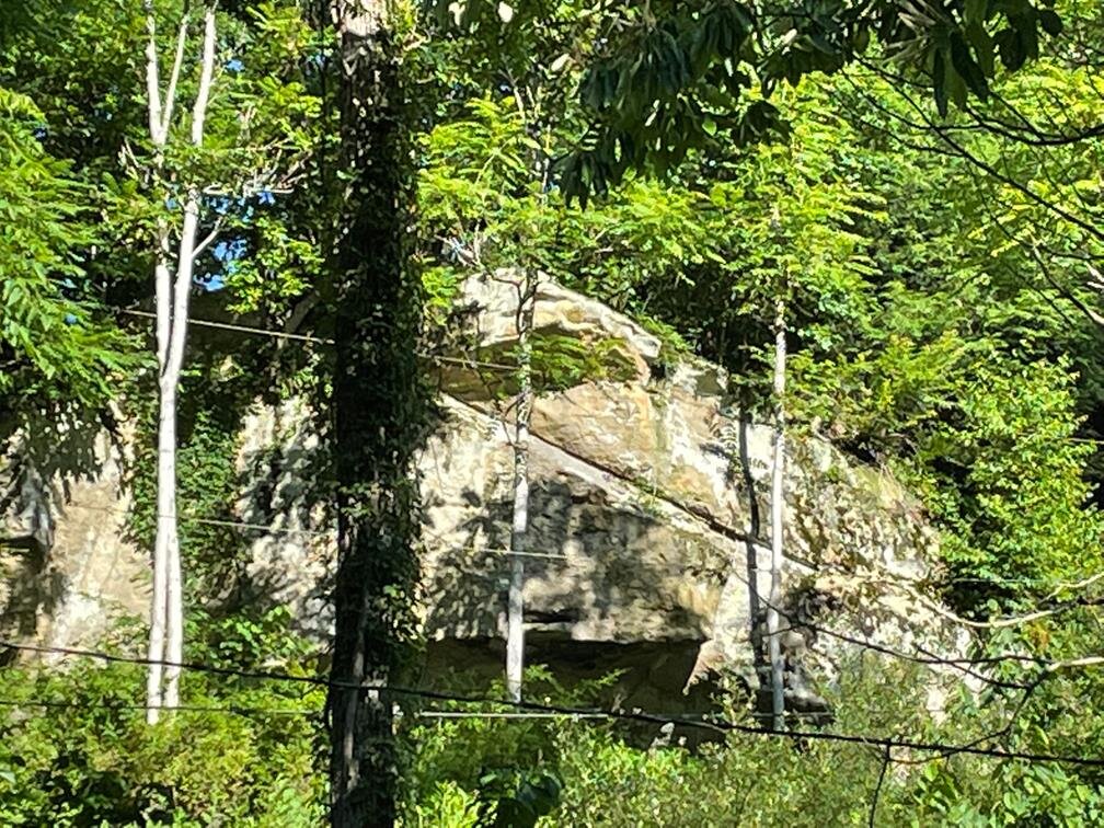 Image for SOLD $176,000 - 25 Acre Mini-Farm or Hunting Camp