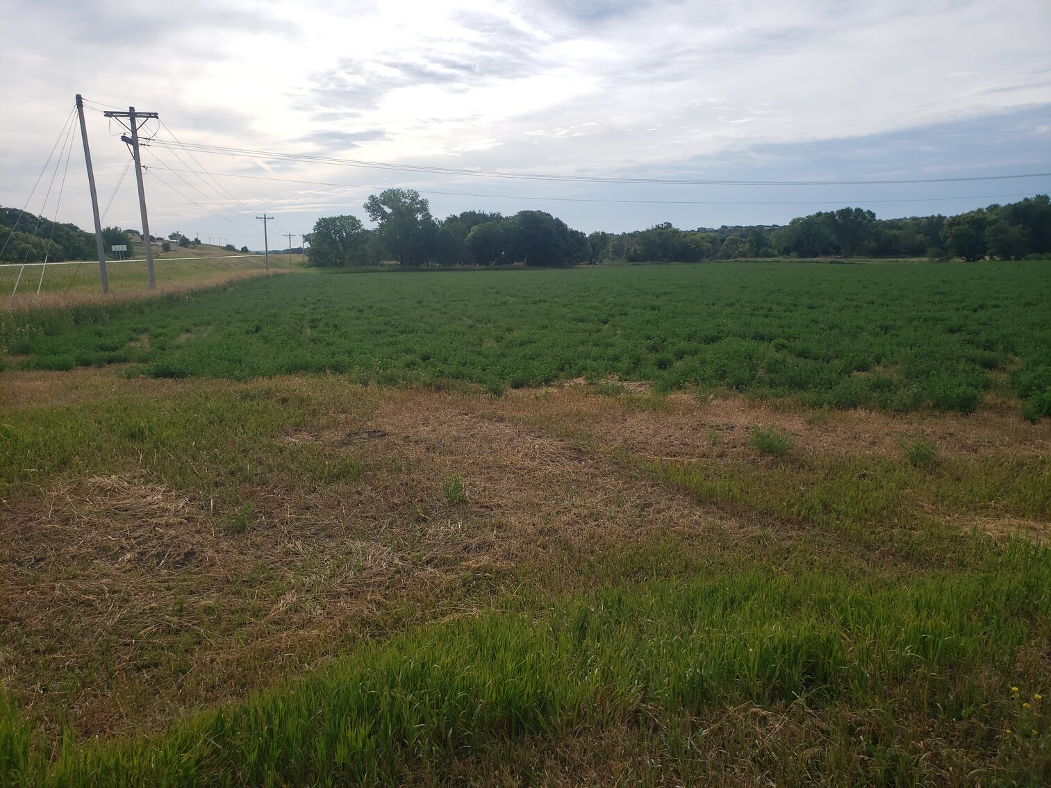 Image for 111.77+/- Acres in Boyd County, NE