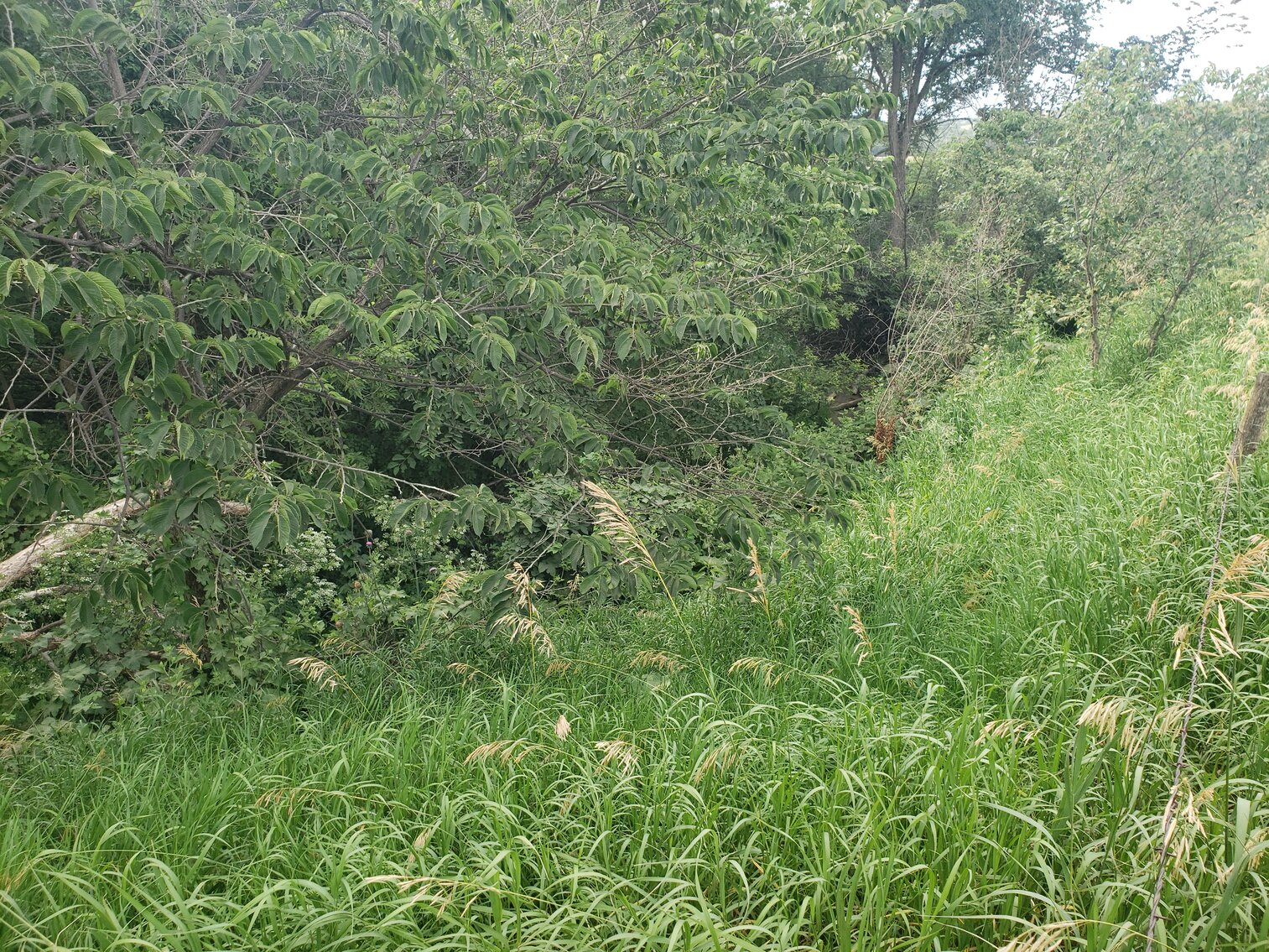 Image for 111.77+/- Acres in Boyd County, NE