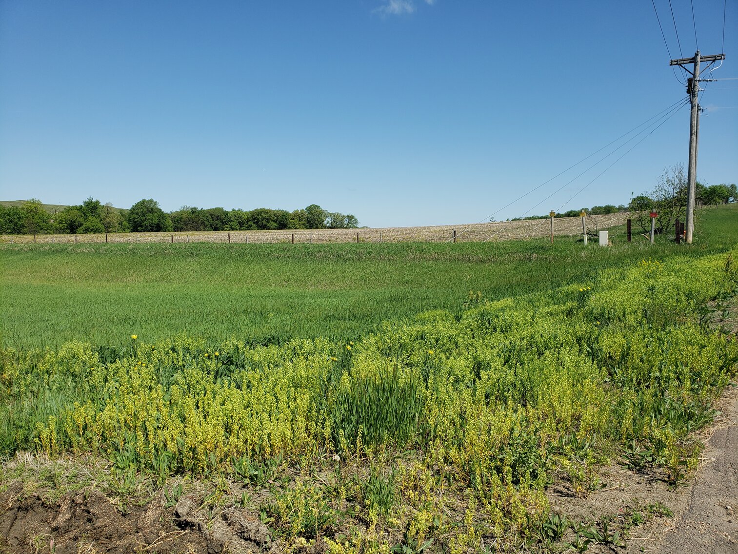 Image for 111.77+/- Acres in Boyd County, NE