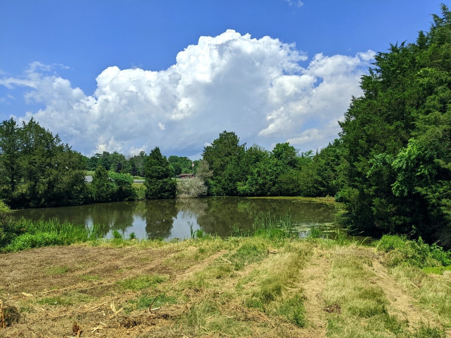 Image for 5.27+/- Acres Zoned R2 With 4 Bed/2 Bath House And Large Barn In McGaheysville VA