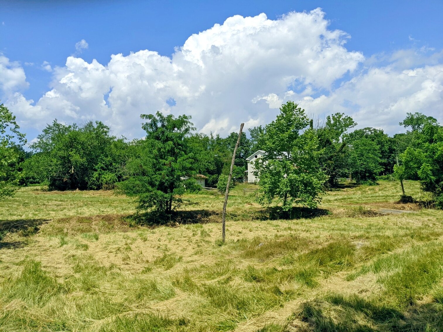 Image for 5.27+/- Acres Zoned R2 With 4 Bed/2 Bath House And Large Barn In McGaheysville VA