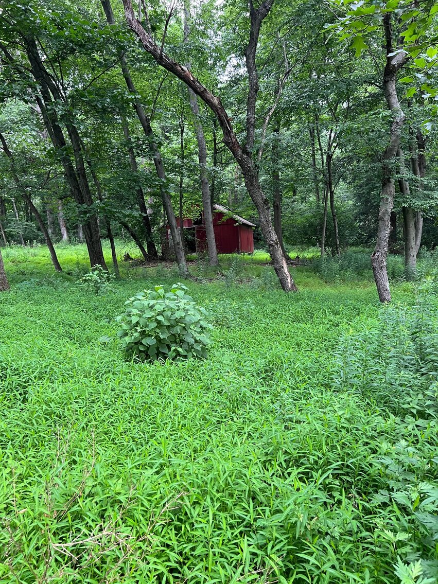 Image for Real Estate Auction - Fixer Upper Farmhouse on 37 acres with Barn