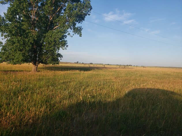 Image for 2,555 +/- Acres in Garfield County, NE