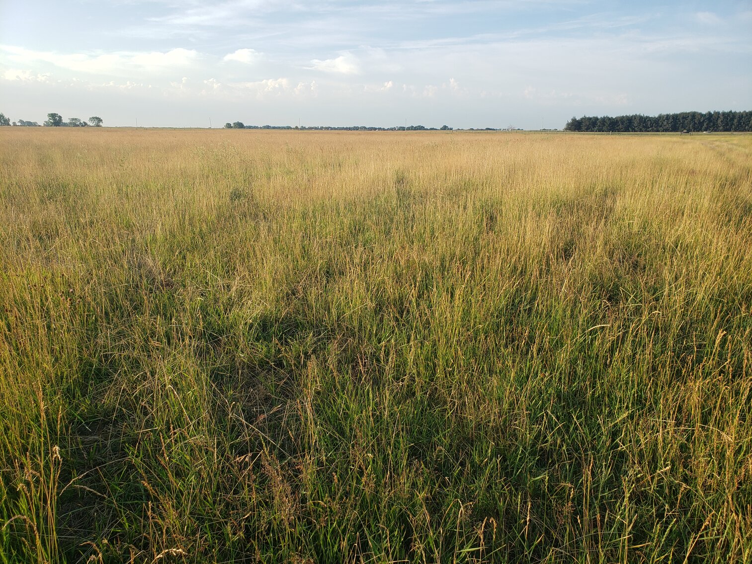 Image for 2,555 +/- Acres in Garfield County, NE