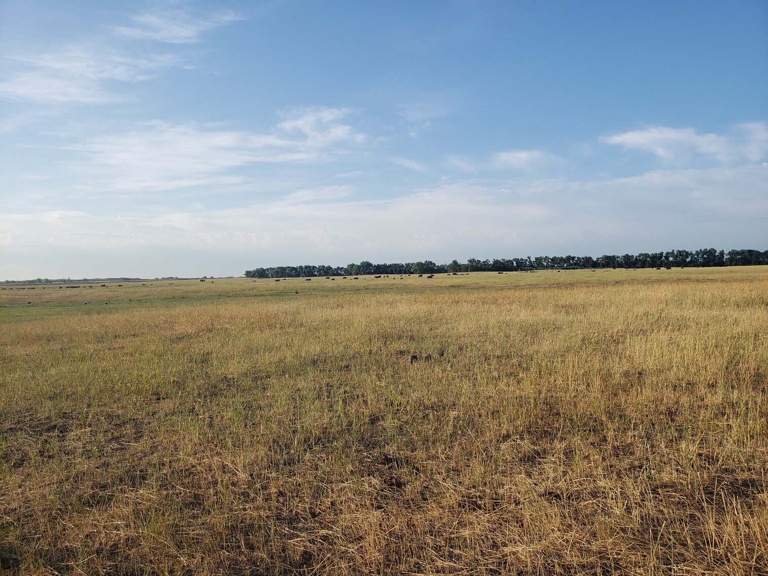 Image for 2,555 +/- Acres in Garfield County, NE
