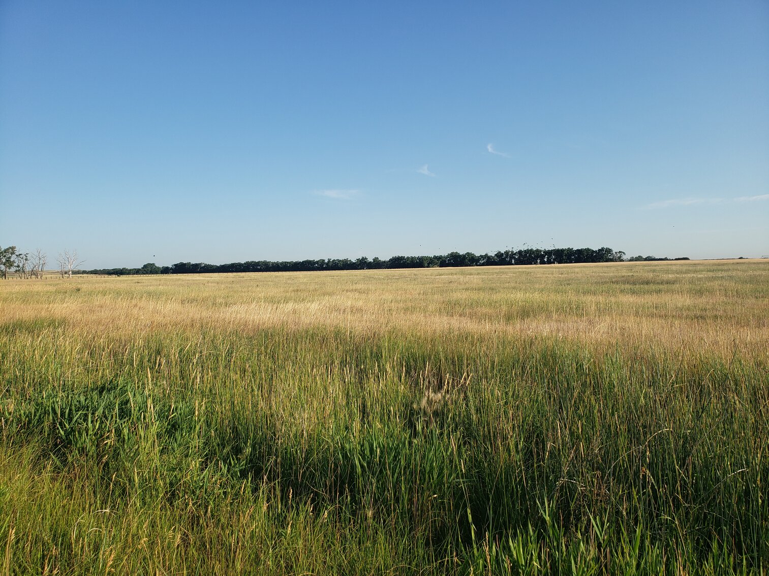 Image for 2,555 +/- Acres in Garfield County, NE