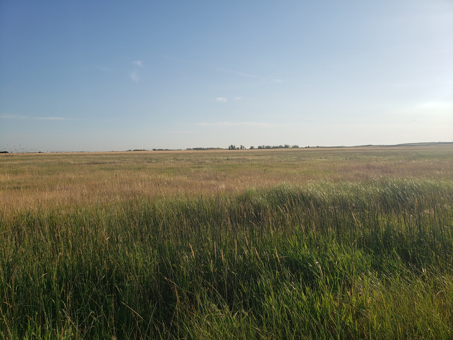 Image for 2,555 +/- Acres in Garfield County, NE