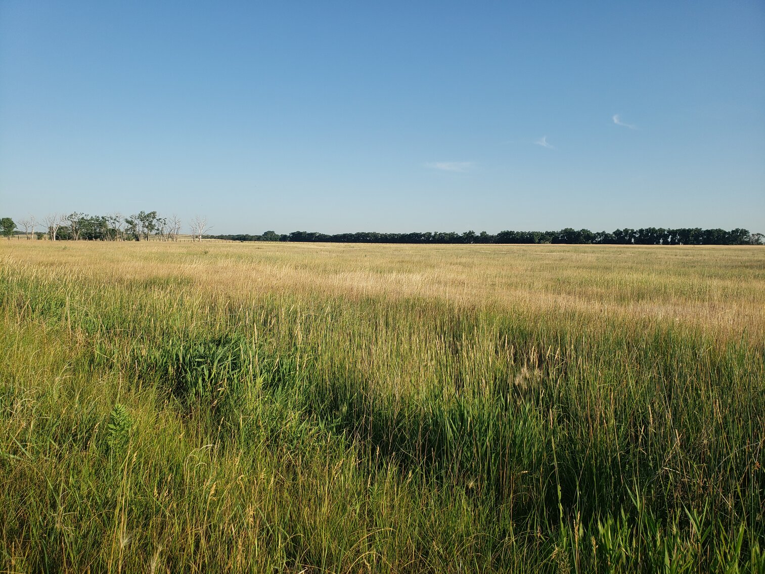 Image for 2,555 +/- Acres in Garfield County, NE