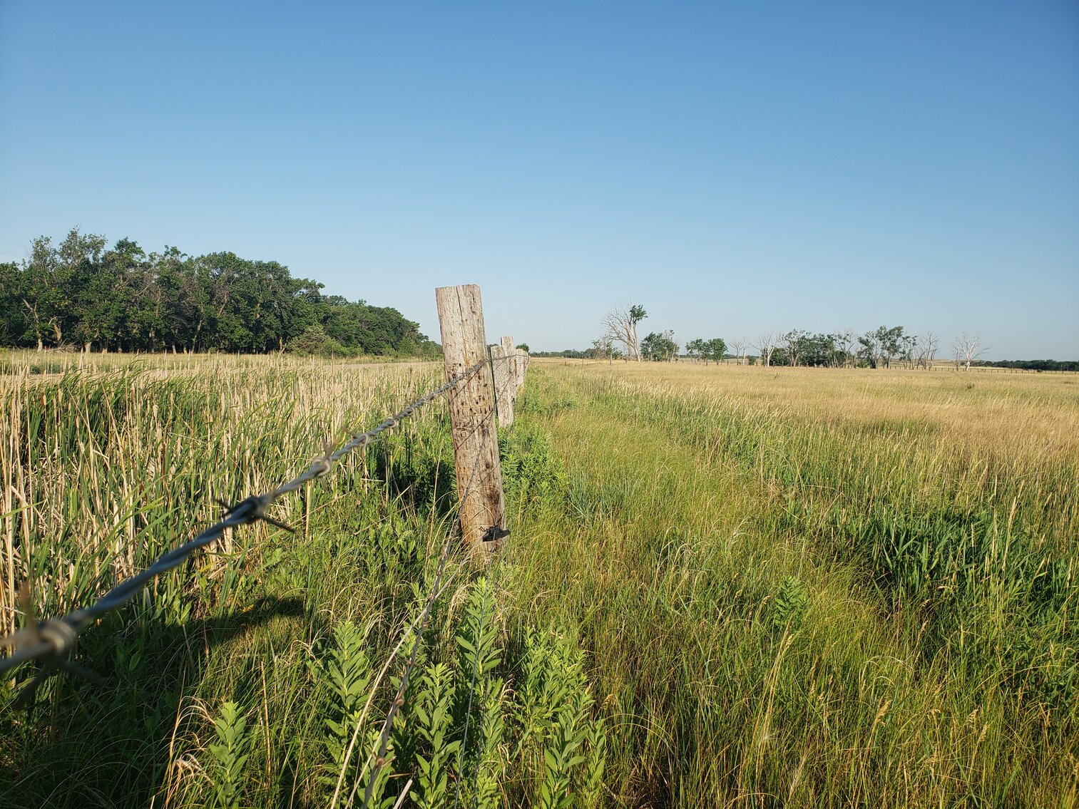 Image for 2,555 +/- Acres in Garfield County, NE