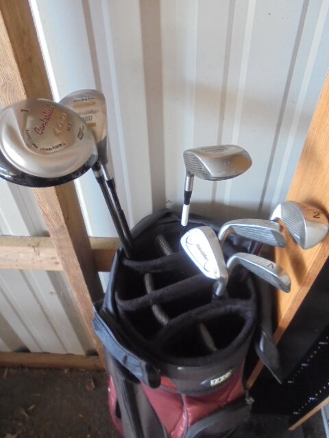 Image for PUBLIC ESTATE AUCTION (LIVING, DECEASED)