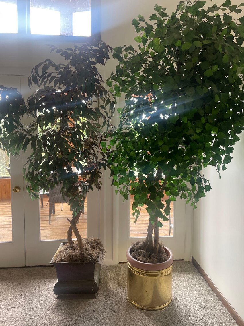 Image for Toyota Rav 4, Magnum Lawn Mower, Furniture, Home Decor, Camera's, Tools (SR 110)