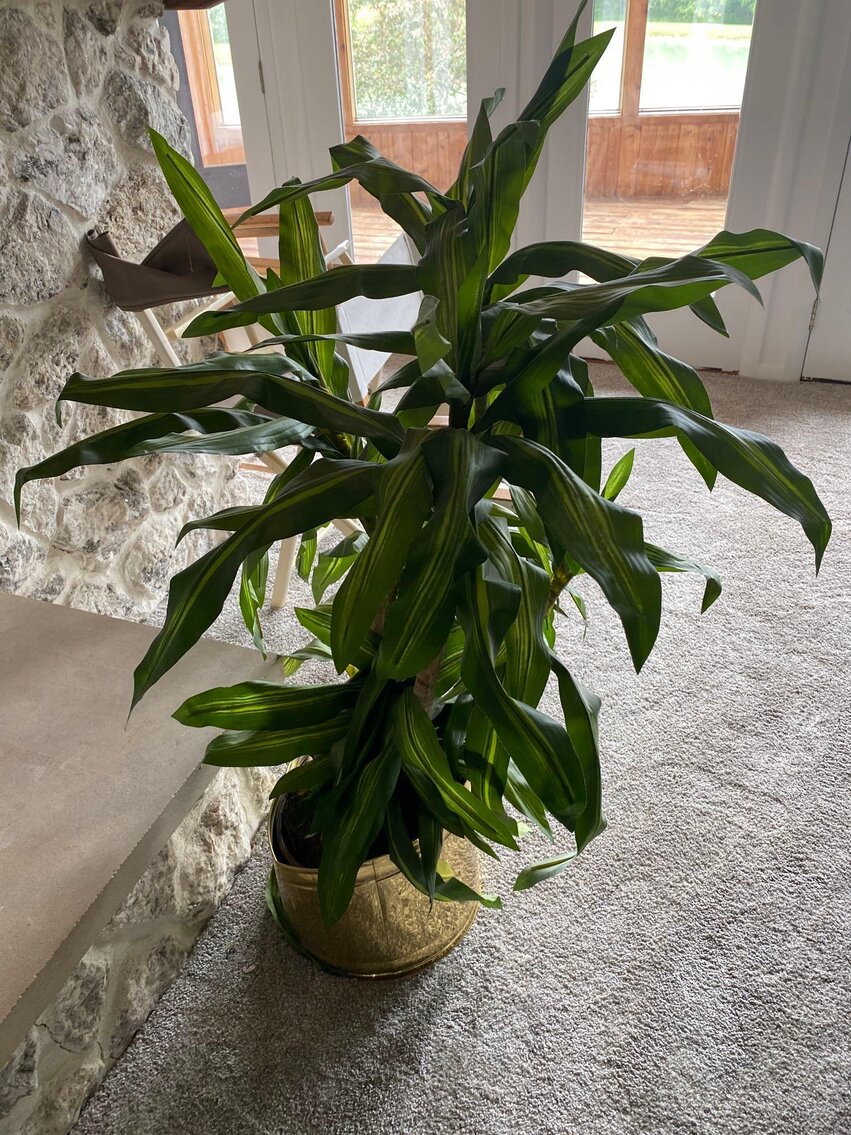 Image for Toyota Rav 4, Magnum Lawn Mower, Furniture, Home Decor, Camera's, Tools (SR 110)