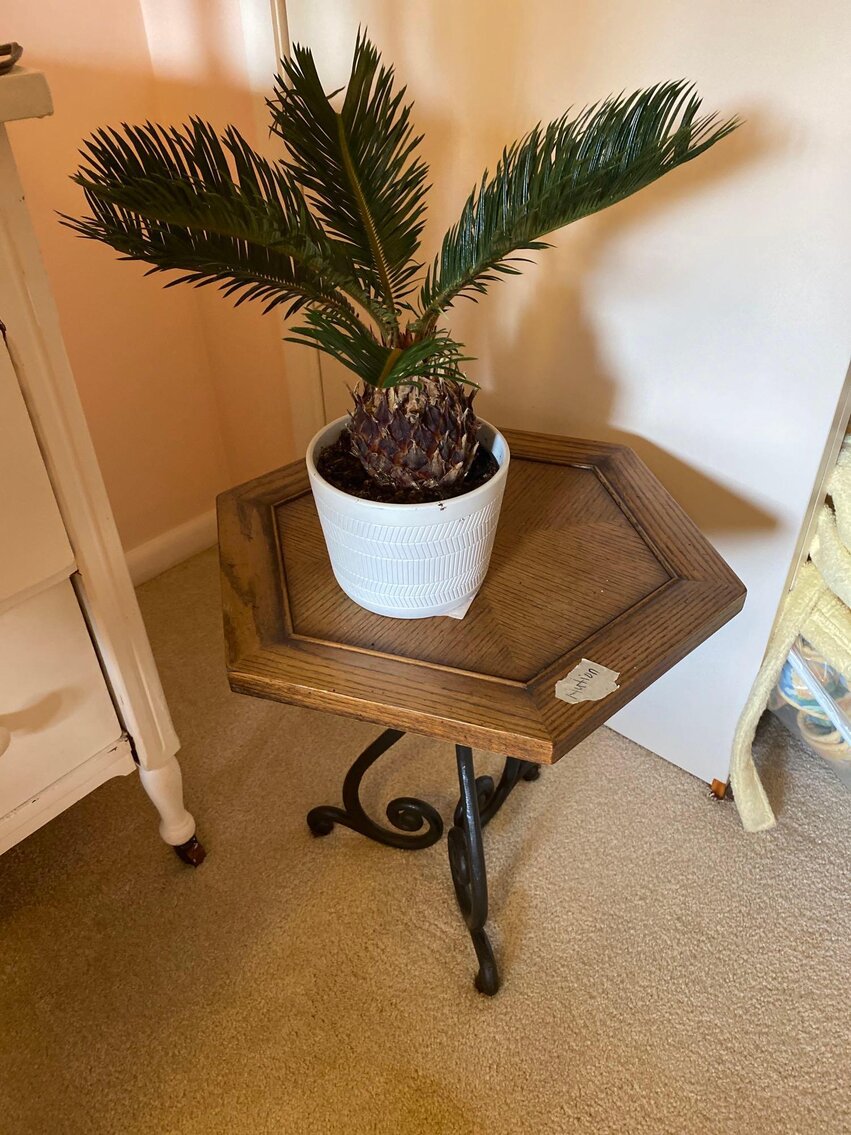 Image for Toyota Rav 4, Magnum Lawn Mower, Furniture, Home Decor, Camera's, Tools (SR 110)