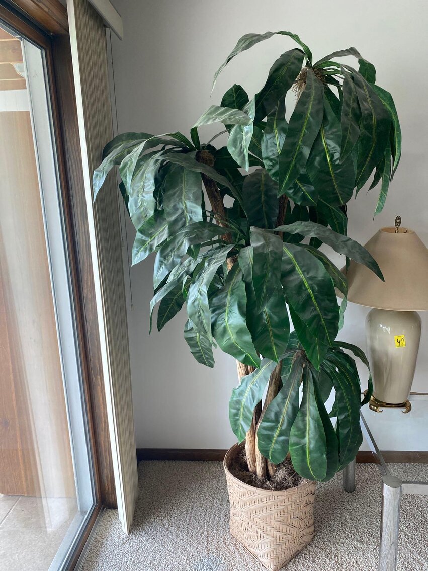 Image for Toyota Rav 4, Magnum Lawn Mower, Furniture, Home Decor, Camera's, Tools (SR 110)