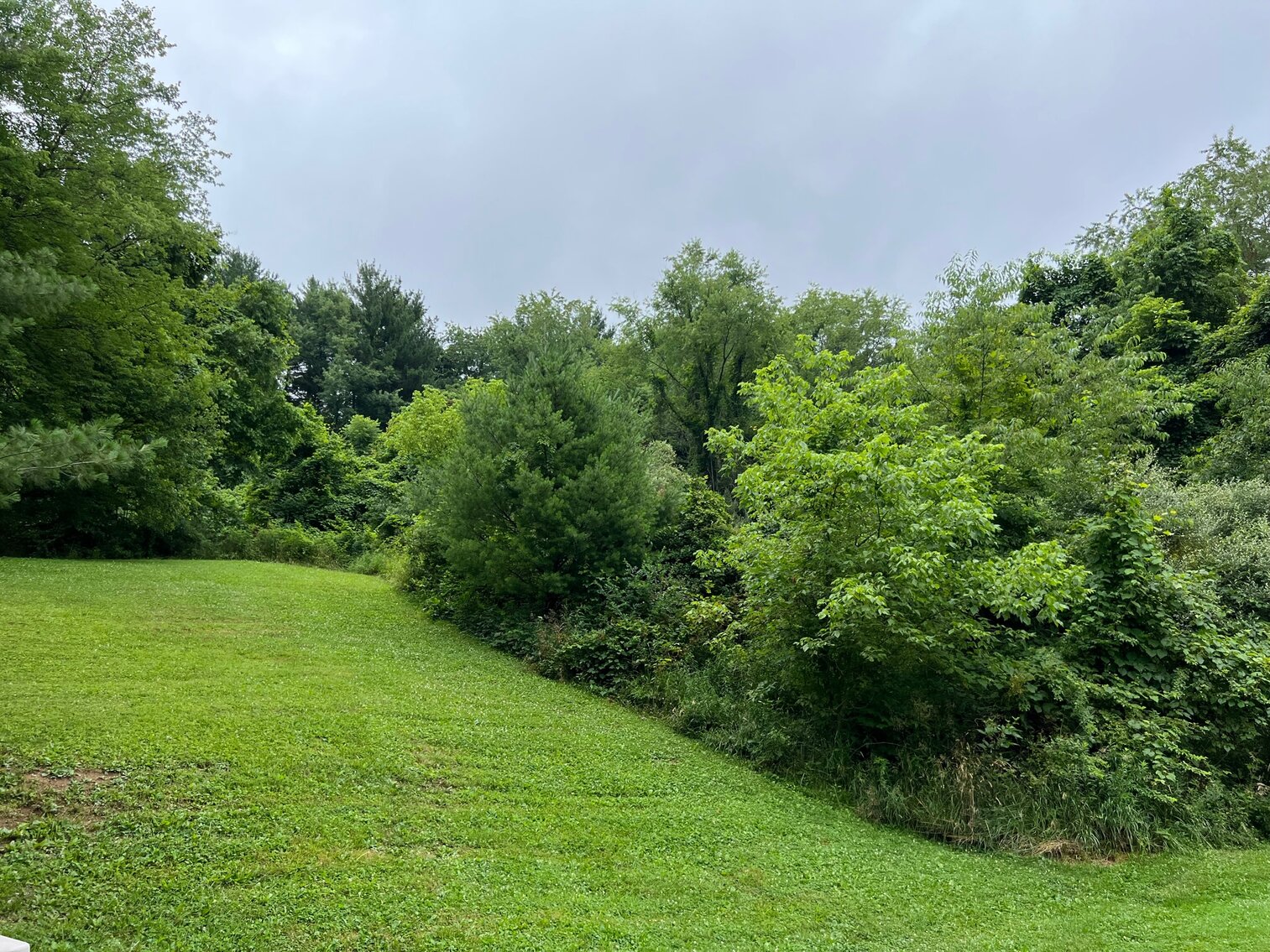 Image for SOLD $46,200 - 2 Bedroom Brick Home on 3 Acres