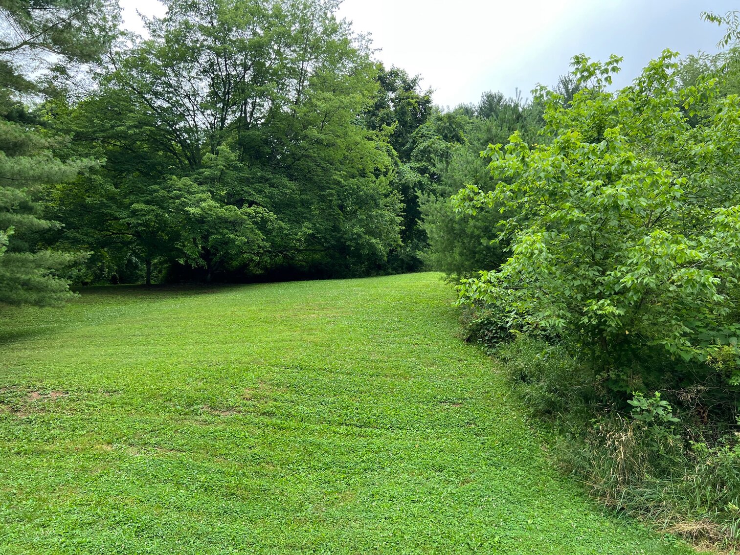 Image for SOLD $46,200 - 2 Bedroom Brick Home on 3 Acres