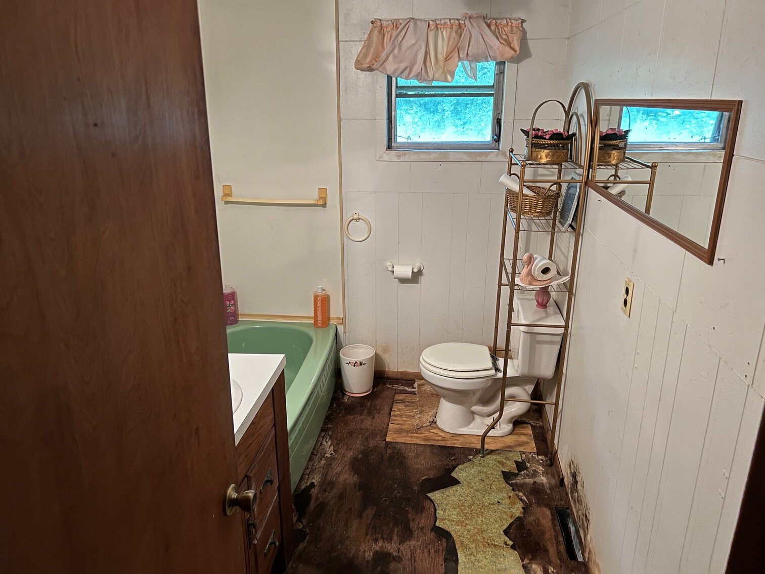 Image for SOLD $46,200 - 2 Bedroom Brick Home on 3 Acres