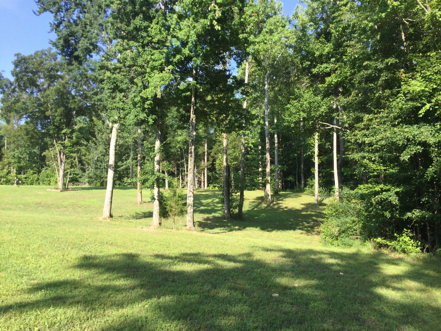 Image for 186 Laidback Lane, Woodbury