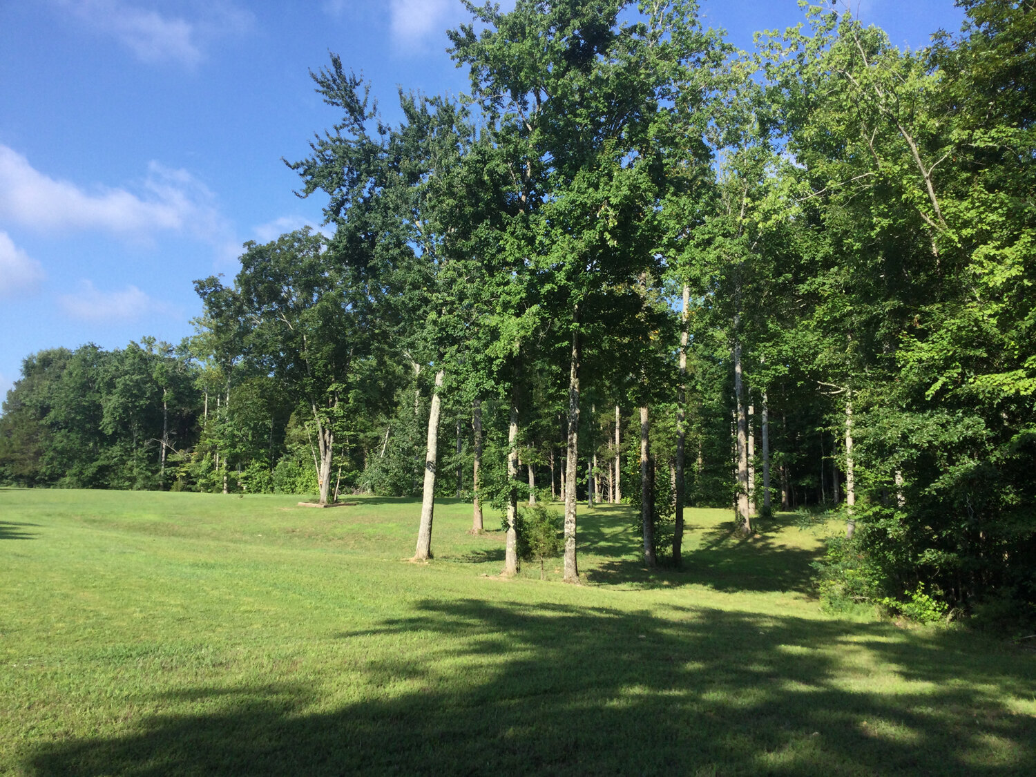 Image for 186 Laidback Lane, Woodbury