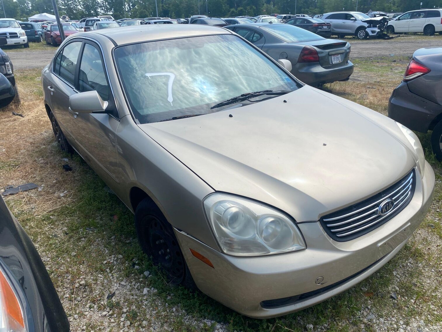 Image for Toledo Police Seized Vehicles