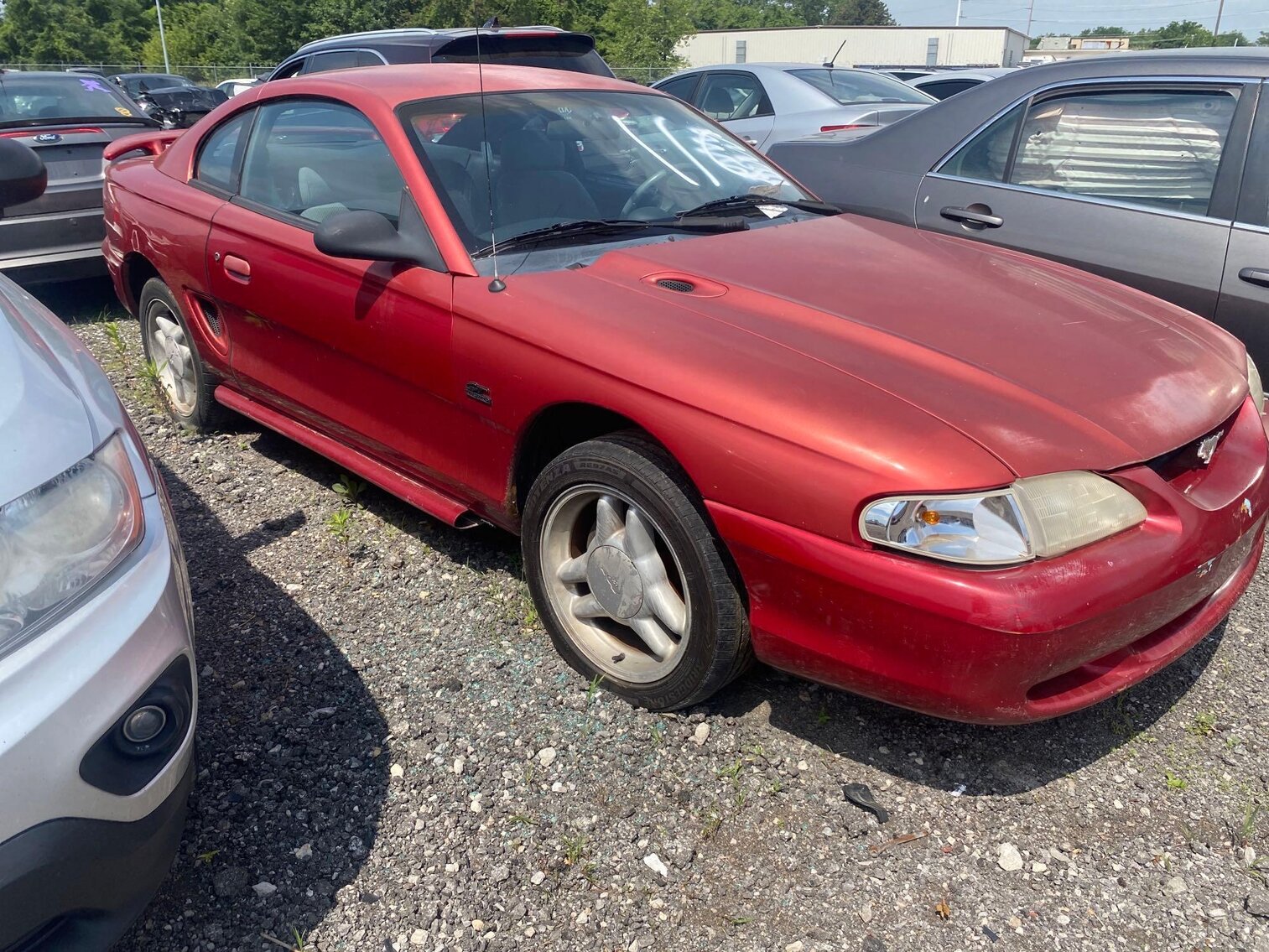 Image for Toledo Police Seized Vehicles