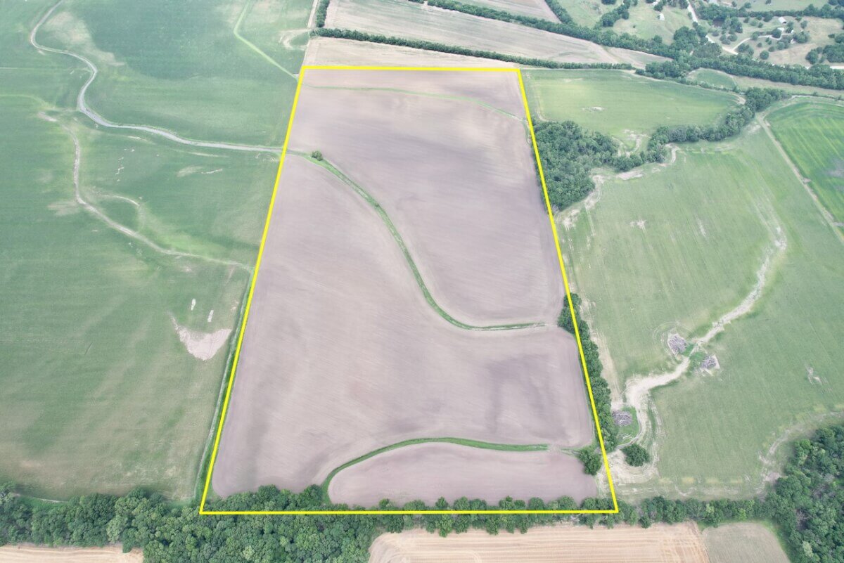 81.5 Acres Wilson County, Kansas Tillable Bottom Ground Near Fredonia and New Albany Land For Sale photo 1