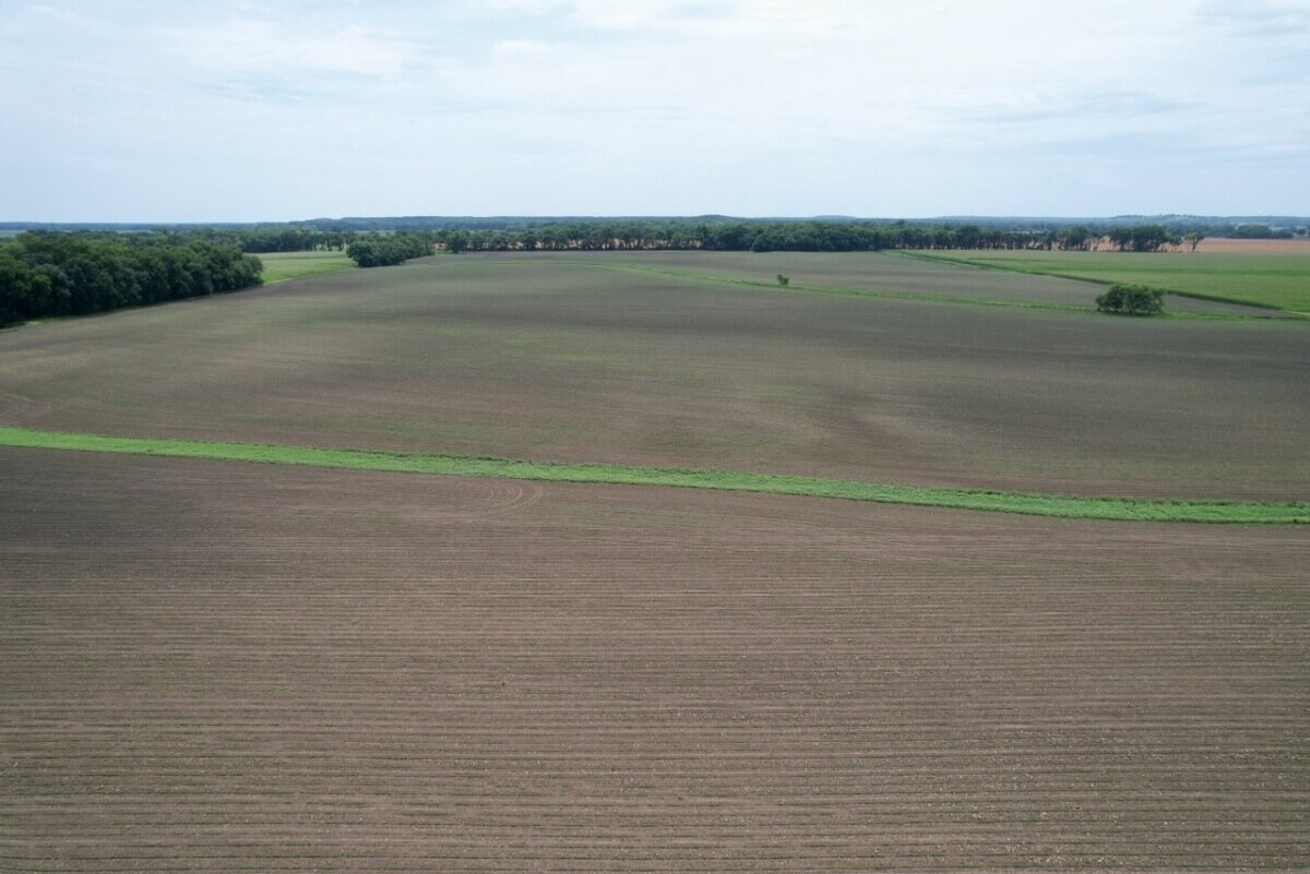 81.5 Acres Wilson County, Kansas Tillable Bottom Ground Near Fredonia and New Albany Land For Sale photo 8