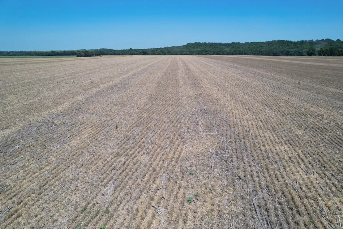 115+- Acres Walnut River Tillable Bottom Ground, Cowley County, Kansas photo 7