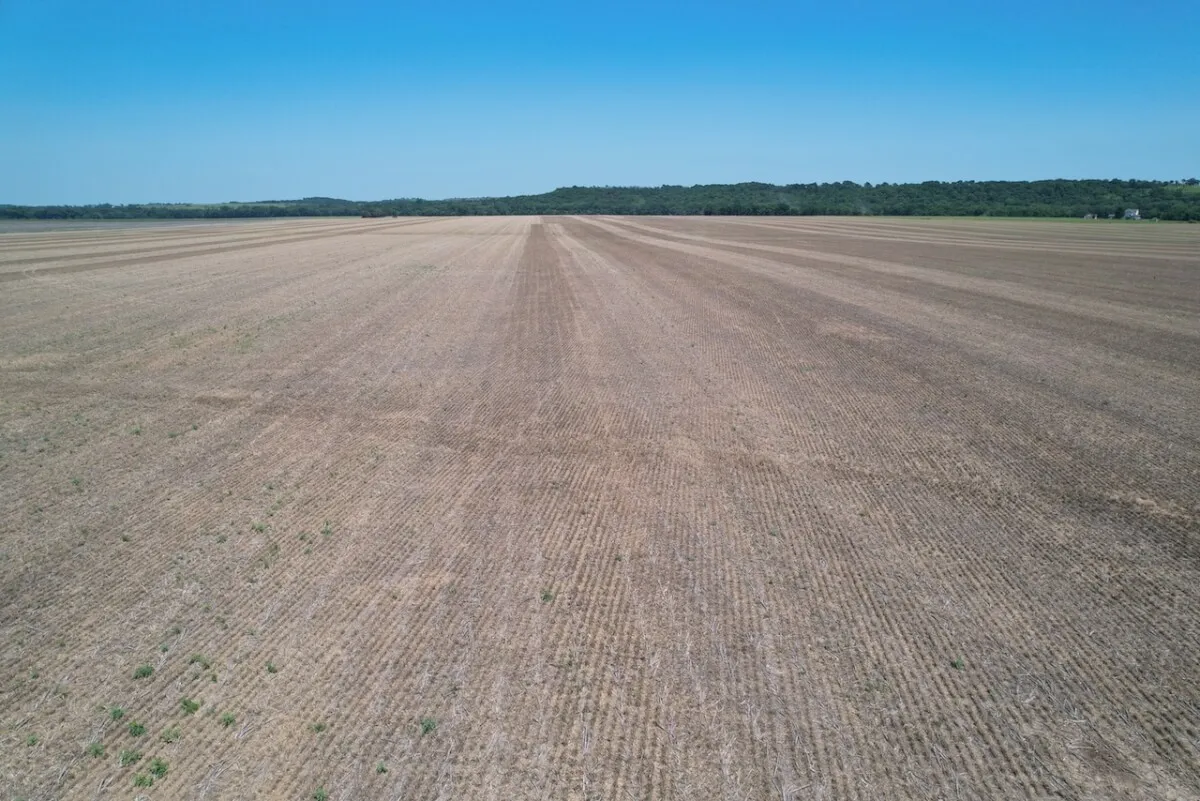 115+- Acres Walnut River Tillable Bottom Ground, Cowley County, Kansas photo 5