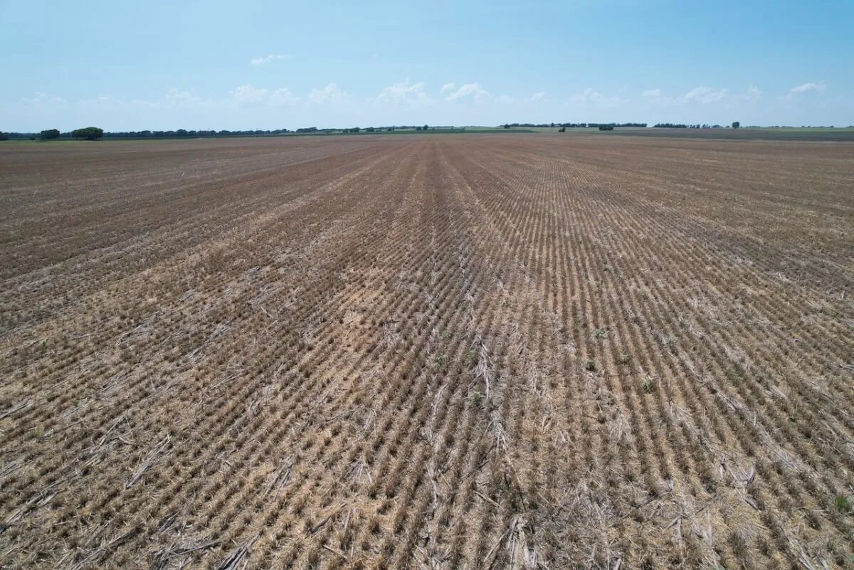 115+- Acres Walnut River Tillable Bottom Ground, Cowley County, Kansas photo 6