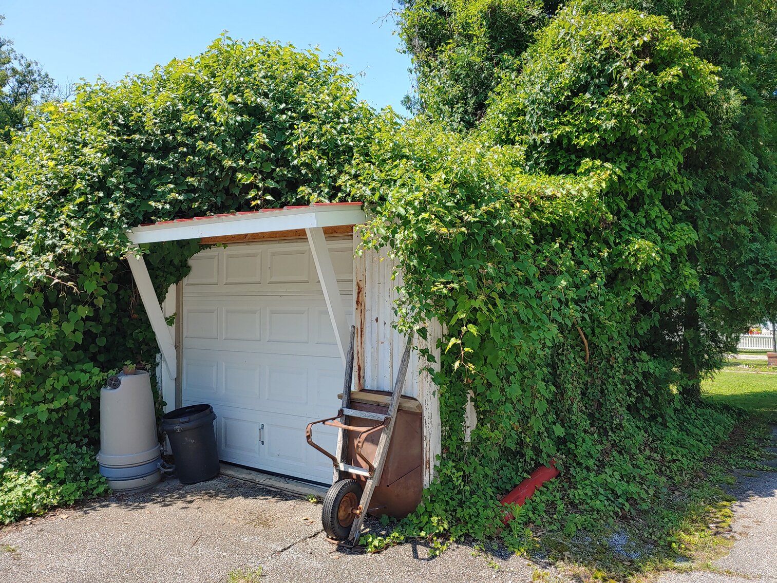 Image for CLEAN VINYL SIDED CAPE COD W/ LARGE DETACHED 2-BAY GARAGE W/ HEAT & AIR ON 0.56+/- ACRES