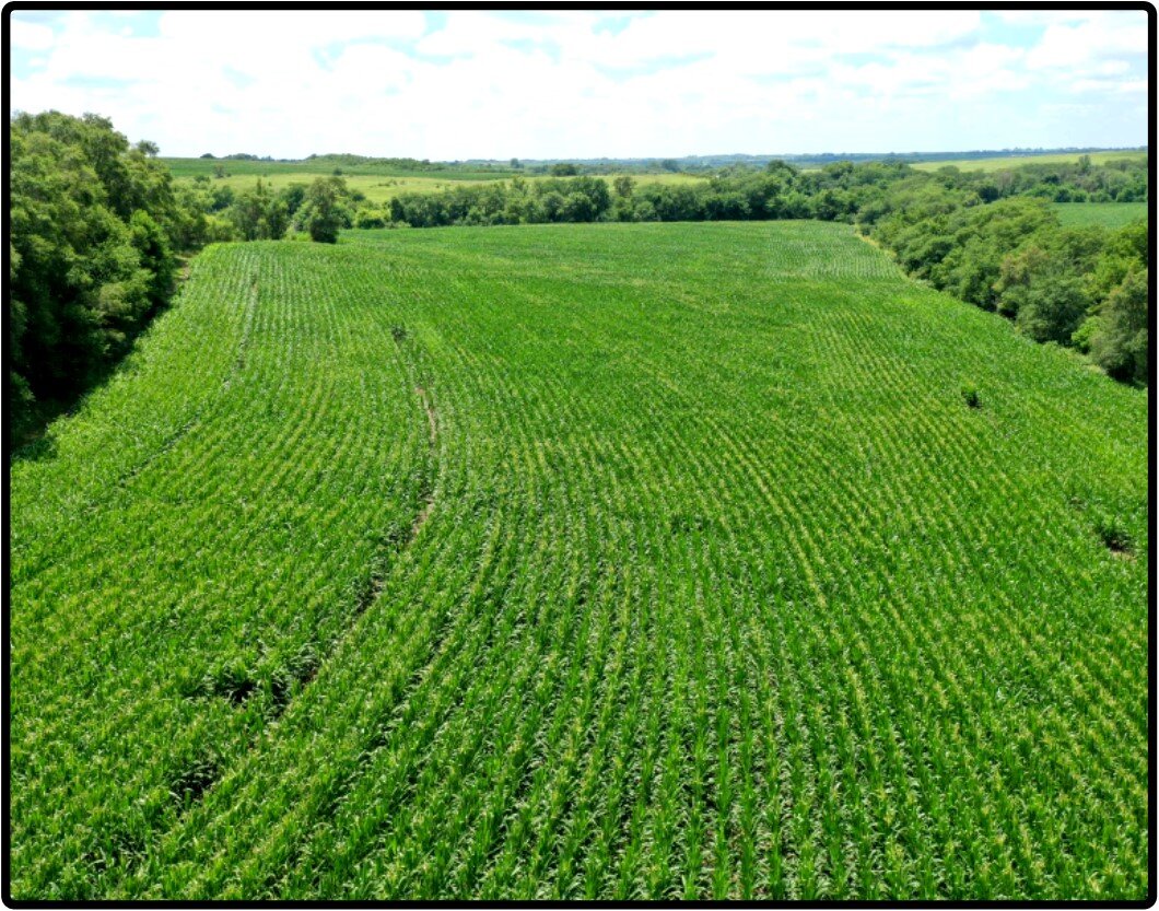 Image for Closed - Page Co., IA - 152.82 Ac., m/l (090-0216)