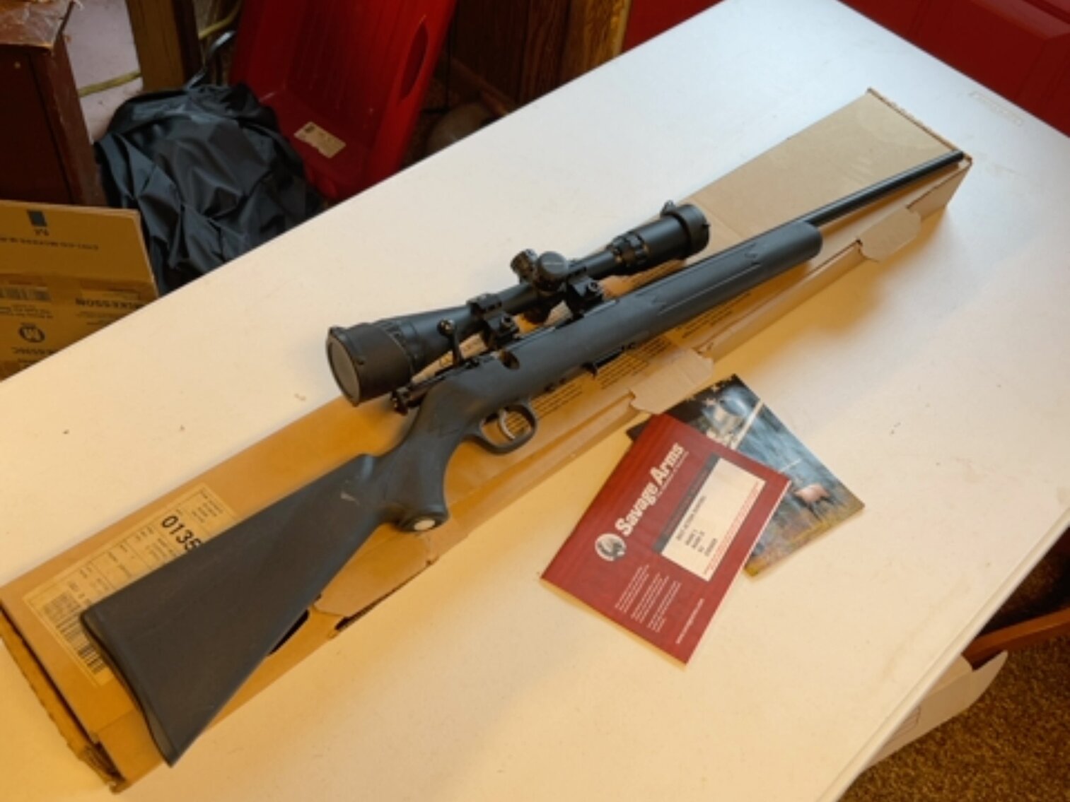 Gun with Scope